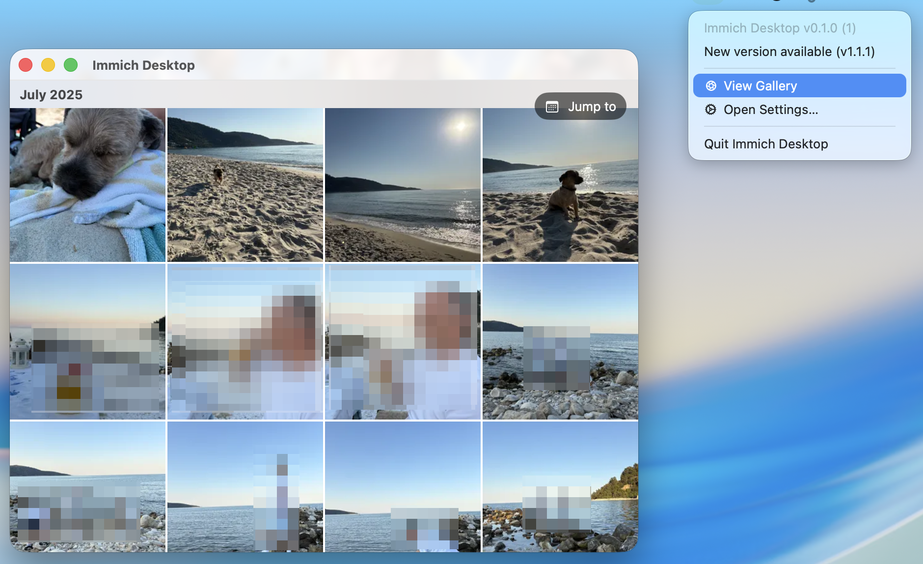 Immich Desktop gallery window showing a photo grid grouped by month